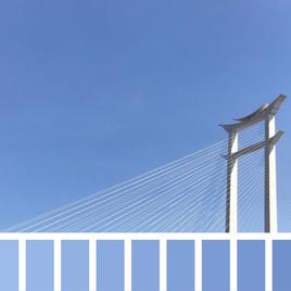 APP安利员于2018-08-03 16:47发布的图片