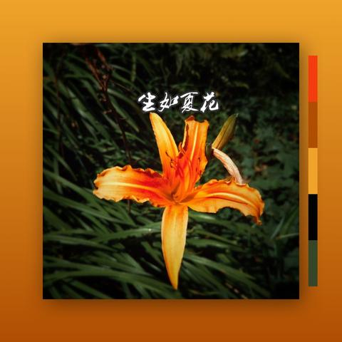 APP安利员于2018-08-03 16:47发布的图片