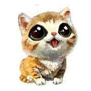 经济与编程的个人资料头像