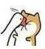 lElysion的个人资料头像