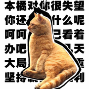 糖糖糖vicky的个人资料头像