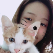 mendes的个人资料头像