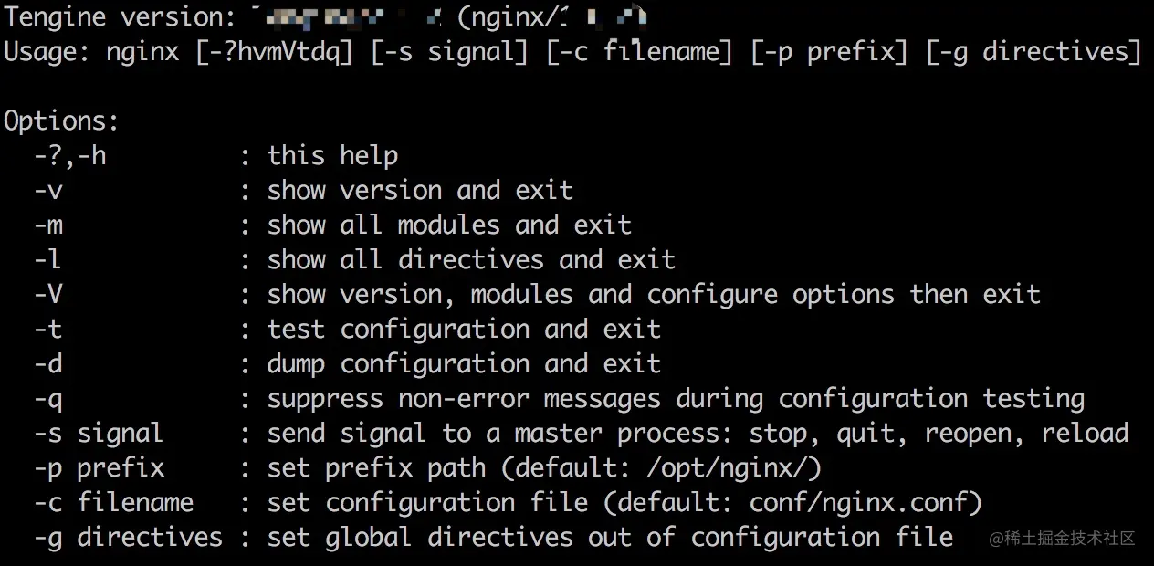 nginx -h