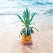 紫包菜的个人资料头像