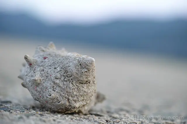 738a4b8df373dc063c96229b6bf9dc519d922994