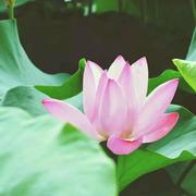 ax5218的个人资料头像