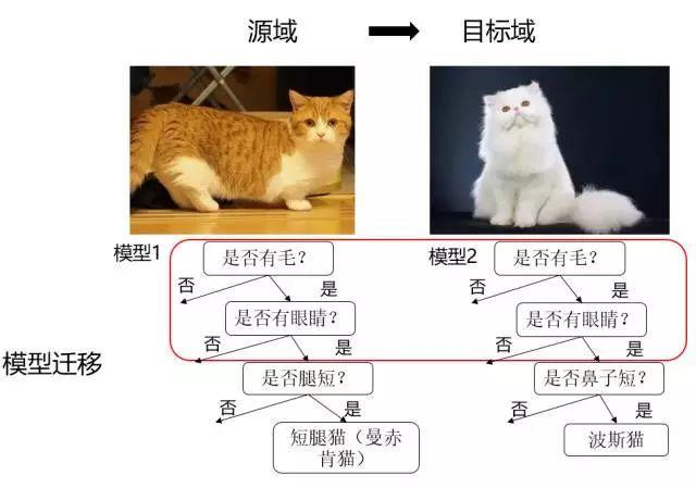 迁移学习的介绍