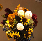 kina52668的个人资料头像