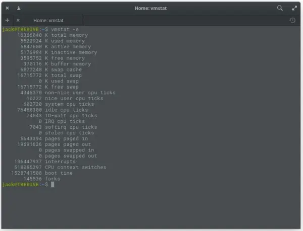图 6：使用 vmstat 命令来检查内存使用情况。