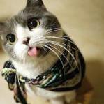 东格拉底的个人资料头像