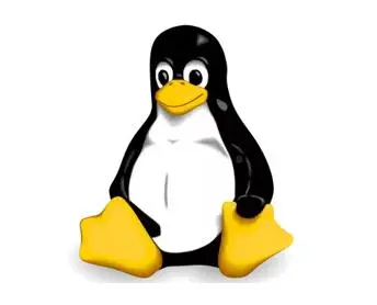 前后端必备Linux基础知识大科普