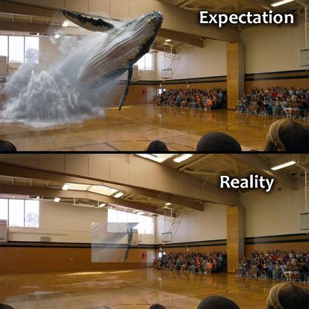 江昪于2018-08-09 22:48发布的图片