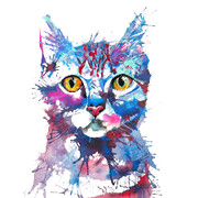 Aaronwf的个人资料头像