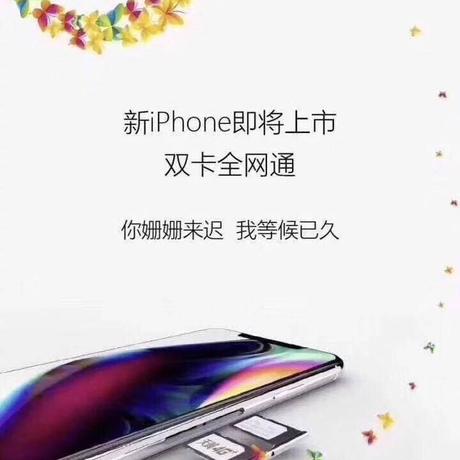 杨涛于2018-09-10 03:39发布的图片