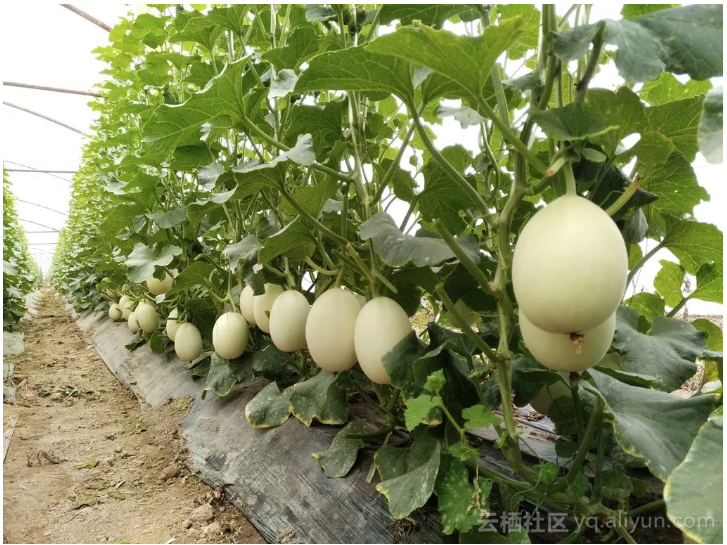 8bba3dc296fae1cf4974144e966462d2391f144f