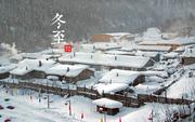 feixiong1的个人资料头像