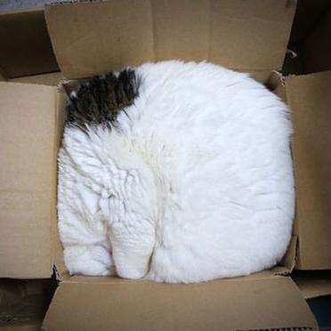 程序员趣事于2018-09-10 18:24发布的图片