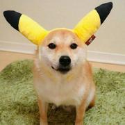 Luokexi的个人资料头像