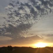 幻雪禅空的个人资料头像