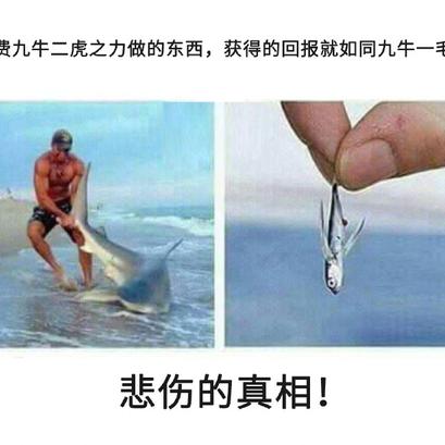 Star过万于2018-09-12 18:33发布的图片