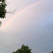大雨封门一碗粥的个人资料头像