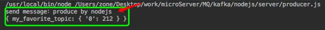 nodejs producer