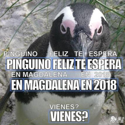 AI技术研究员于2018-09-13 11:06发布的图片