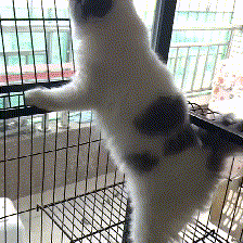 程序员趣事于2018-09-13 17:13发布的图片