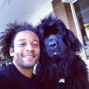 Alichacha的个人资料头像