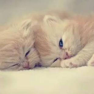 程序员鼓励喵于2018-09-17 08:20发布的图片