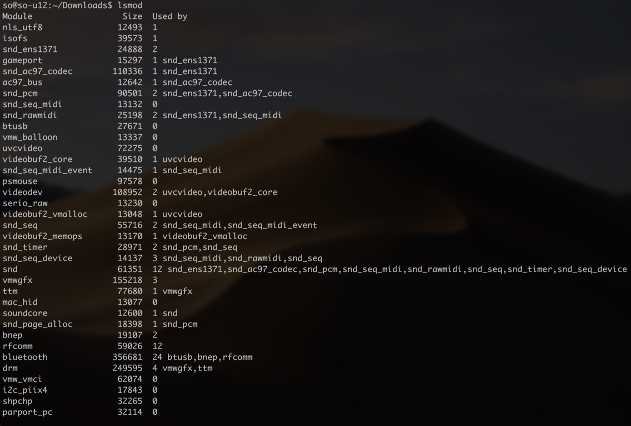 lsmod