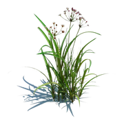 Qiwany的个人资料头像