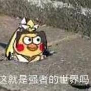 鸡蛋的壳的个人资料头像