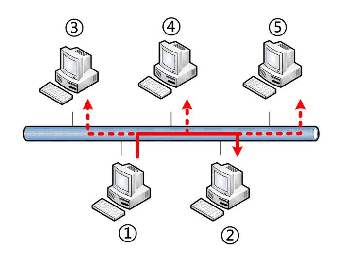 arp