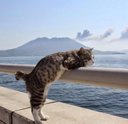 兔子先生i的个人资料头像