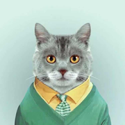 慕霖杉的个人资料头像