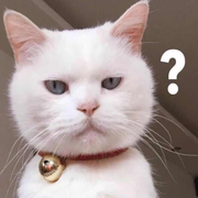 妖妖伶哦的个人资料头像