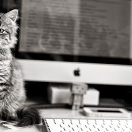 程序员鼓励喵于2018-09-20 08:35发布的图片