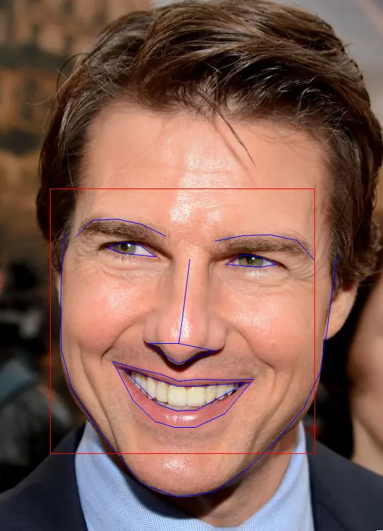 人脸关键点检测结果