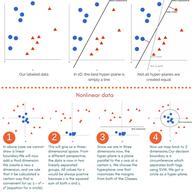 网路冷眼于2018-09-20 11:53发布的图片