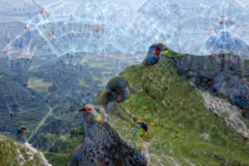 mixed5a的DeepDream结果