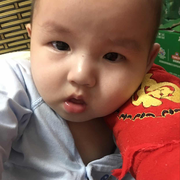 汪汪的个人资料头像