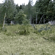 程序员趣事于2018-09-25 11:13发布的图片