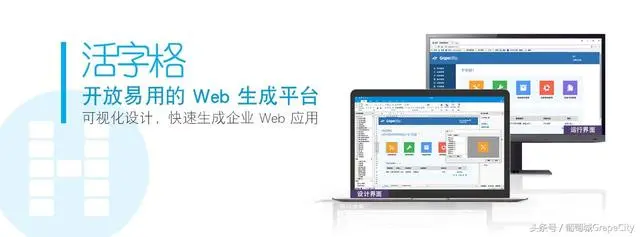 葡萄城亮相中国软件生态大会，与渠道商共赢中国市场