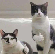 Ash16870的个人资料头像