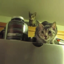 程序员趣事于2018-09-26 08:22发布的图片