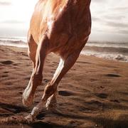 function1的个人资料头像