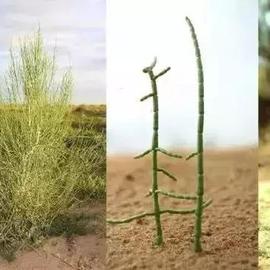 掘金话题小站于2018-09-03 07:35发布的图片