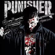 punisherj的个人资料头像