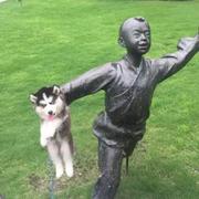 Ling学习ing的个人资料头像